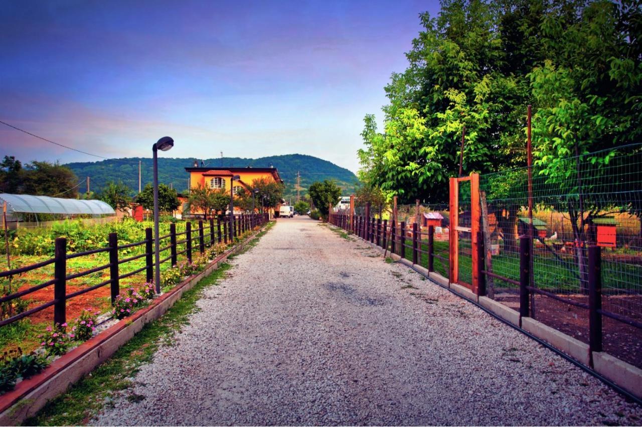 Agriturismo Il Vecchio Pollaio Villa Castel Di Sangro Exterior photo